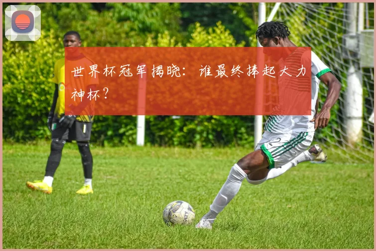 世界杯冠军揭晓:谁最终捧起大力神杯?
