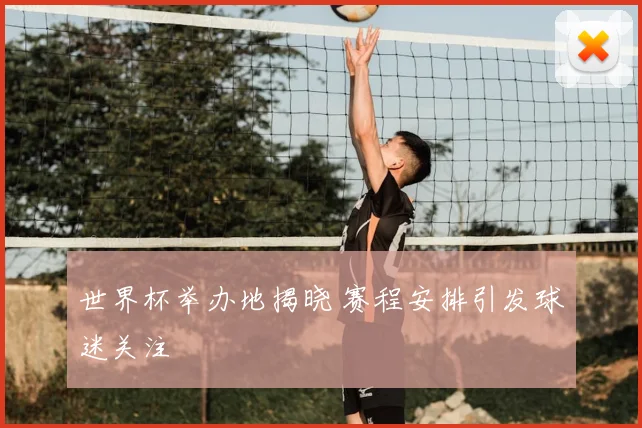 世界杯举办地揭晓 赛程安排引发球迷关注