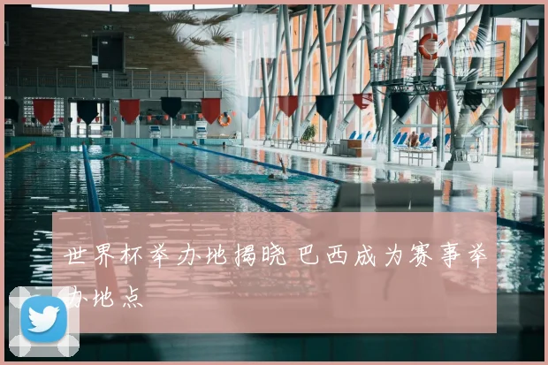 世界杯举办地揭晓 巴西成为赛事举办地点