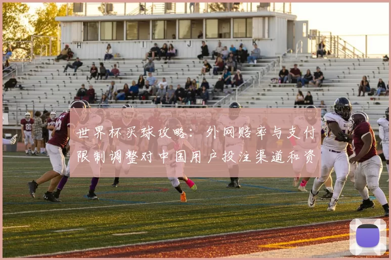 世界杯买球攻略：外网赔率与支付限制调整对中国用户投注渠道和资金流影响